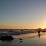 The Best Beaches in Los Angeles