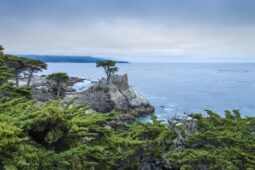 Top Things to Do in California