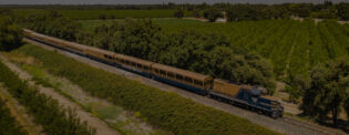 River Fox Train in Sacramento