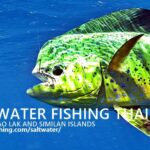 Fishing Khao Lak and Similan Islands – Saltwater Fishing Thailand