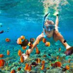 The Best Koh Samui Snorkeling Spots for Underwater Adventures