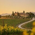 The Best Wineries in Ronda — A Complete Guide to the D.O. Sierras de Málaga