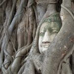 The Top 19 Things to Do in Ayutthaya, Thailand