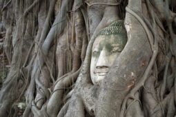 Top 19 Things to Do in Ayutthaya, Thailand