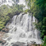 Top Waterfalls in Kerala to Visit in 2026