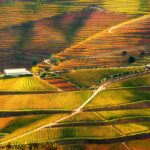 The 51 most beautiful places in the world
