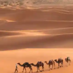 10 Best GetYourGuide Tours in Marrakech (2026)