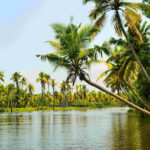 Kerala Adventure Activities: Trekking, Paragliding & Water Sports Guide