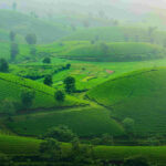 Kerala Budget Itinerary: Low-Cost Travel Plan with Stay & Transport Tips