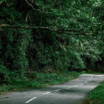 Kerala Tour Packages from Delhi: Price, Itinerary & Travel Options Explained
