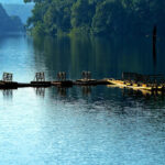 Kerala 5 Days Itinerary: Short Trip Plan Covering Top Destinations