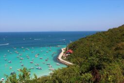 Explore Pattaya Like A Local