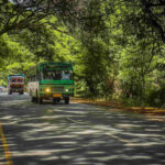 Kerala Local Transport Guide: Auto, Taxi, Bus & Travel Cost Explained