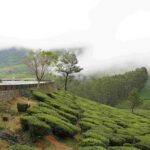 Kerala Tour Package Under ₹25,000: Budget Plan with Full Itinerary