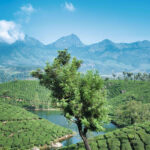 Kerala Temple and Spiritual Tour