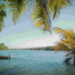 Kerala Monsoon Travel Guide 2026