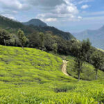 Kerala Tour Packages with Houseboat Stay