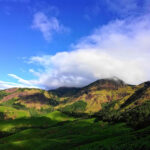 7 Days Kerala Tour Package Itinerary