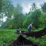 Top Destinations in Kerala Monsoon Escape Packages