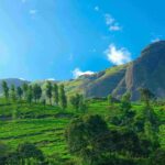 Best Kerala Family Tour Itinerary