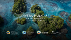 Divers Paradise in Panama