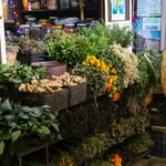 Oaxaca City Food & Drink Scene: A Complete Guide to the Best Eats – Luckey Alex